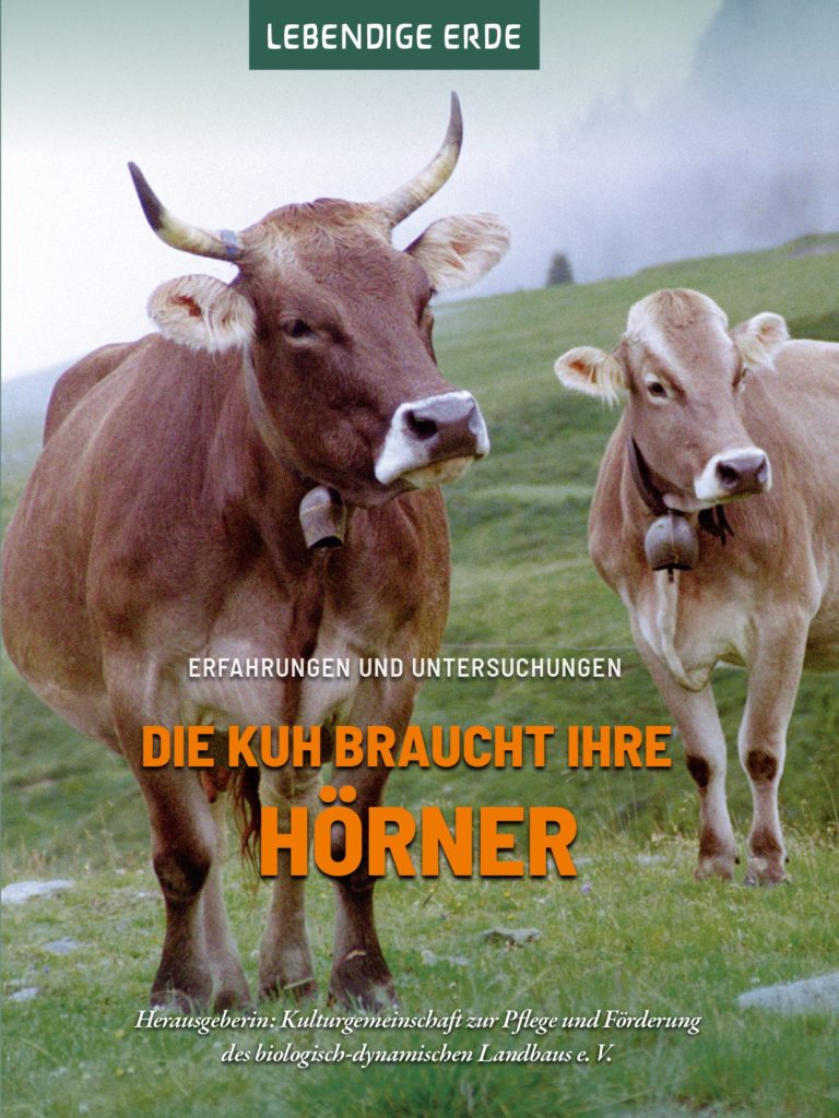 Wo die Kuh noch Hörner hat: Vom Glück, alte Nutztierrassen zu halten